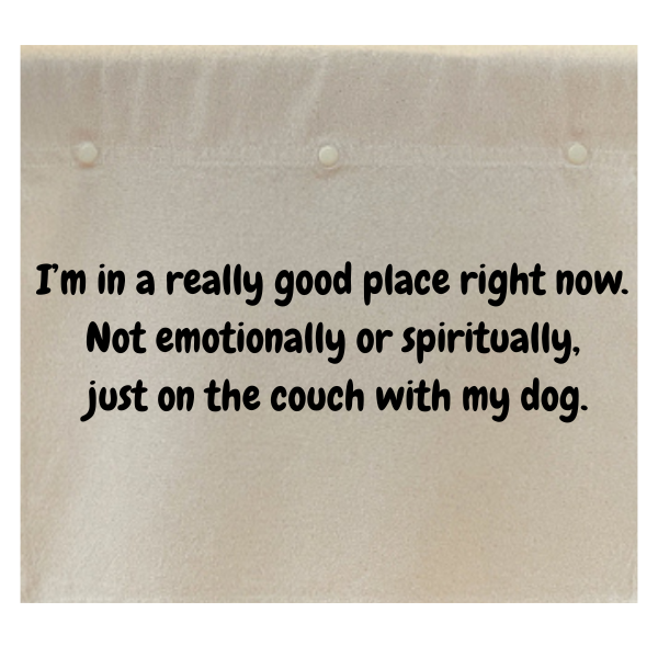I'm in a really good place right now. Not emotionally or spiritually, just on the couch with my dog.