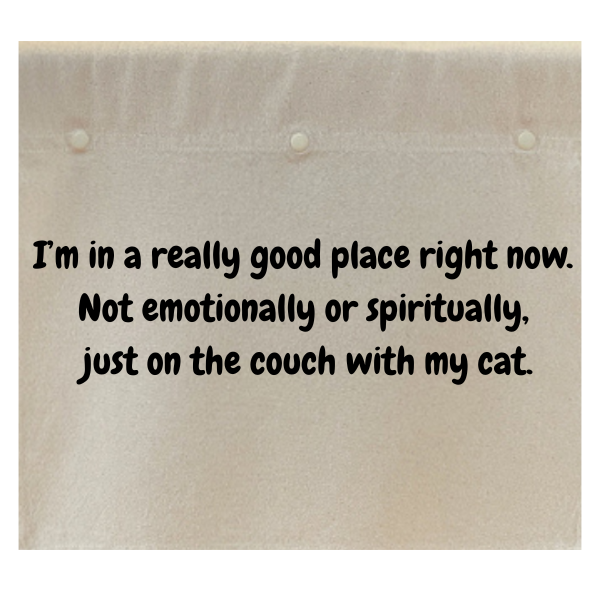 I'm in a really good place right now. Not emotionally or spiritually, just on the couch with my cat. note: this is the CAT version.