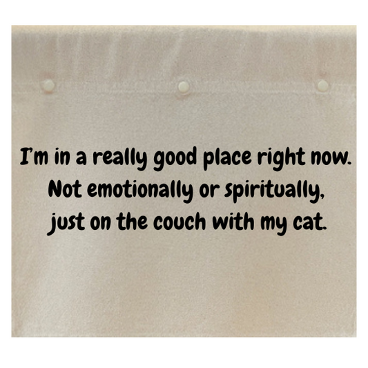 I'm in a really good place right now. Not emotionally or spiritually, just on the couch with my cat. note: this is the CAT version.