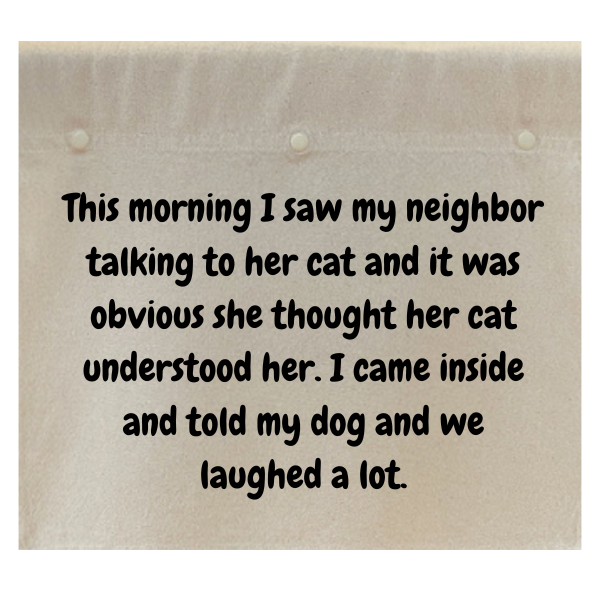 This morning I saw my neighbor talking to her cat and it was obvious she thought her cat understood her.  I came inside and told my dog and we laughed a lot.