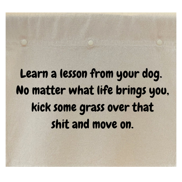 Learn a lesson from your dog. No matter what life brings you, kick some grass over that shit and move on.