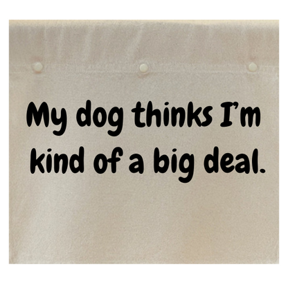 My dog thinks I'm kind of a big deal.