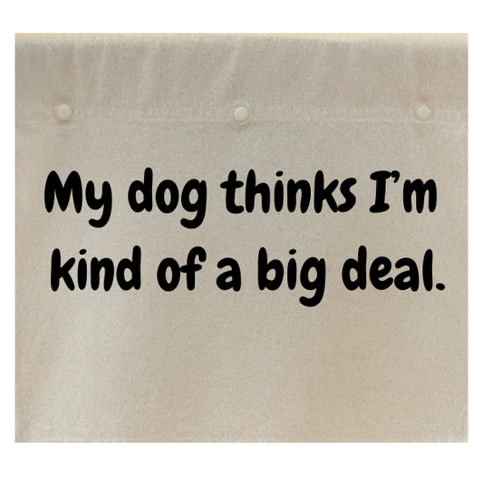 My dog thinks I'm kind of a big deal.