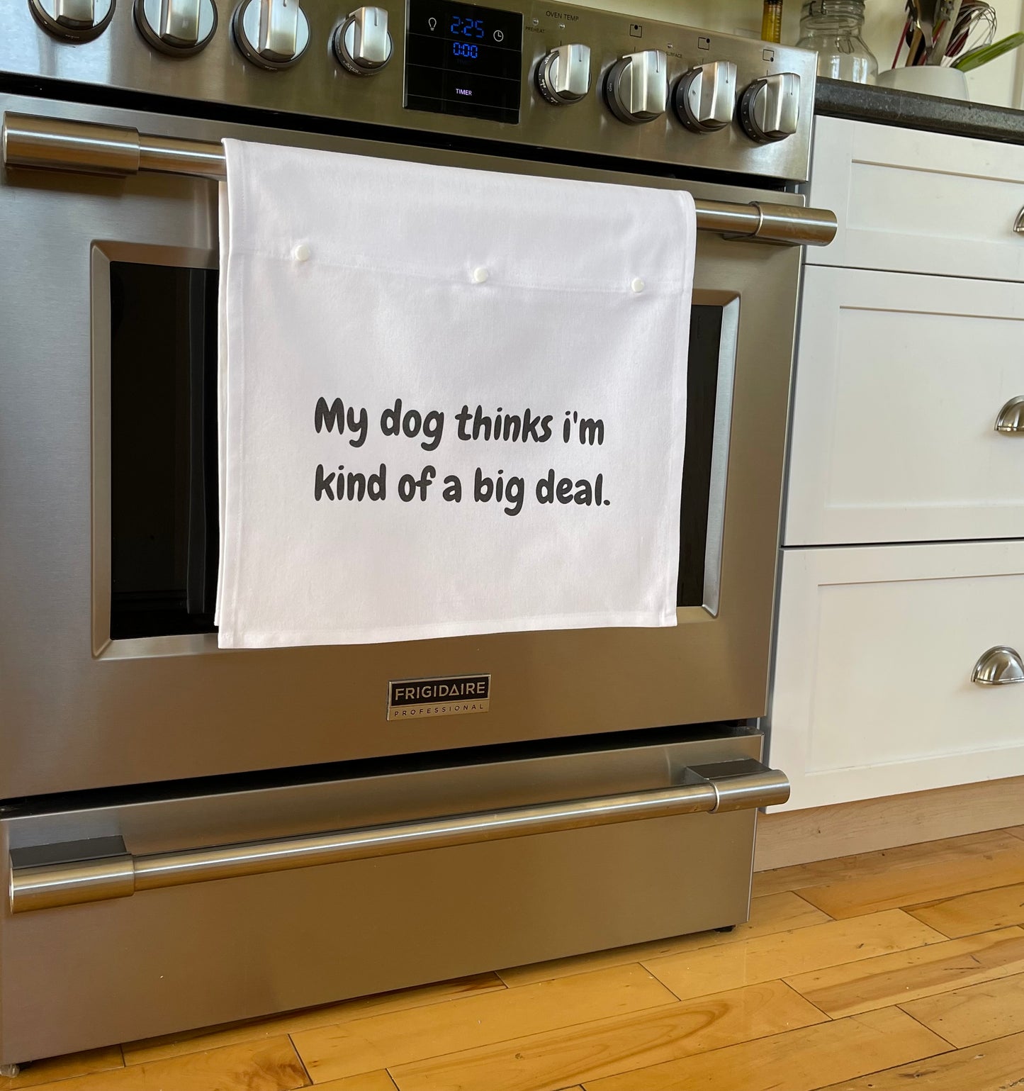 My dog thinks I'm kind of a big deal.